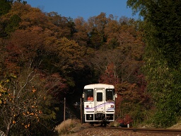 アケチ12 / 11D・明知鉄道線 飯沼-阿木(オリンパス E-300(ZUIKO DIGITAL 14-54mm F2.8-3.5)) アケチ12 / 11D・明知鉄道線 飯沼-阿木(オリンパス E-300(ZUIKO DIGITAL 14-54mm F2.8-3.5))